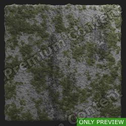 PBR Texture of Ground Concrete Mossy